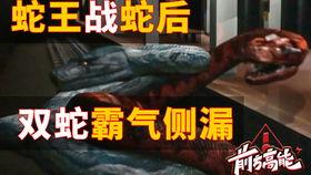 远古狂蟒,探寻神秘巨蟒的传奇故事